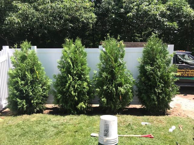 Mendez Irrigation, Corp.: Service Image-14 Mendez Irrigation, Corp.: Service Image-14