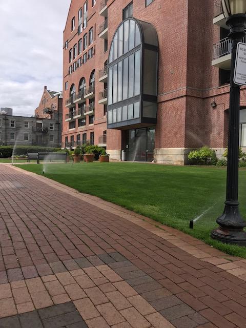 Mendez Irrigation, Corp.: Service Image-19 Mendez Irrigation, Corp.: Service Image-19